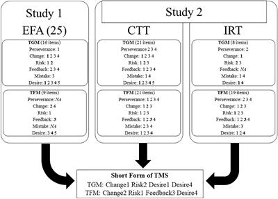A short-form of team mindset scale: Using psychometric properties of the items